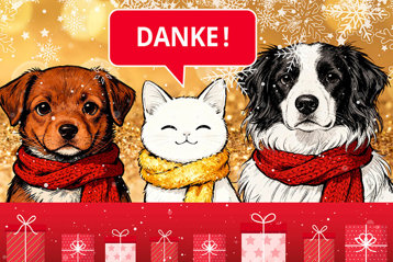 Aca Winterpackerl Danke Teaser 2025