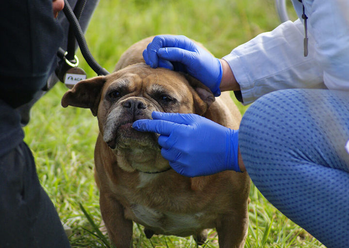 Kopie Von 25 10120407