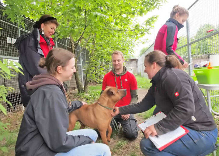 Kopie Von 25 05180156