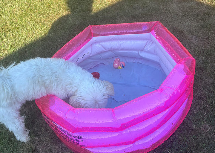 Baby2
