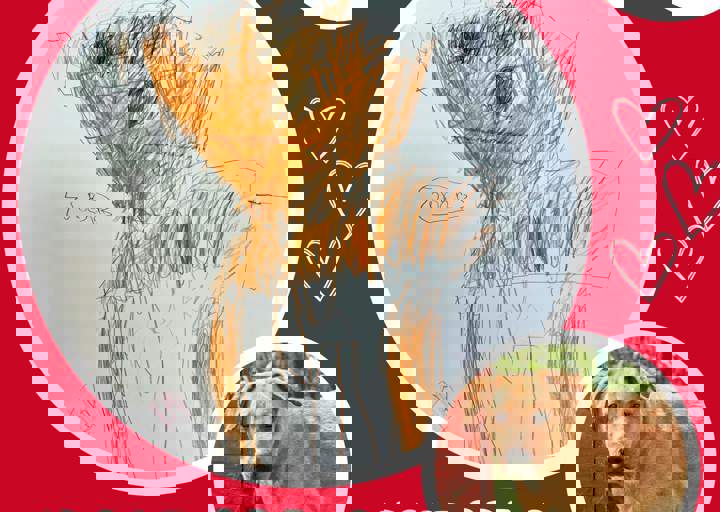 Aca Langsitzer Kids Oberon