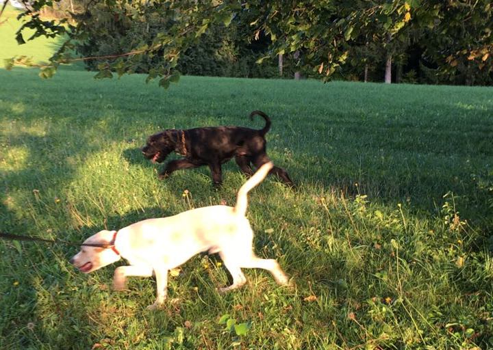 happy_150628203202 23_09_17.jpg