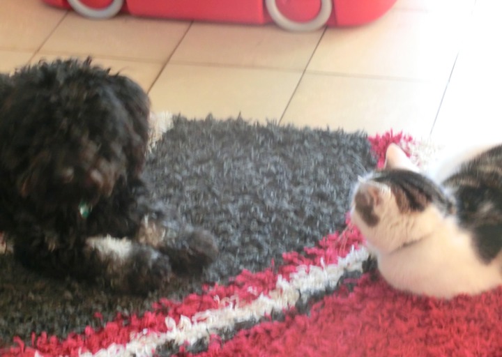 happy_1500576029Ausflug 1463.jpeg