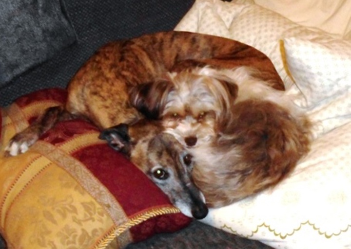 happy_14896097452017-03-06 19_52_26.jpg