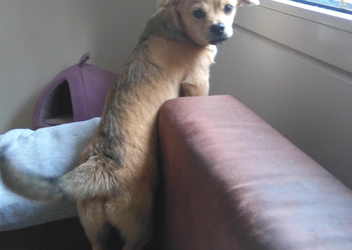 happy_14860614382016 785.JPG