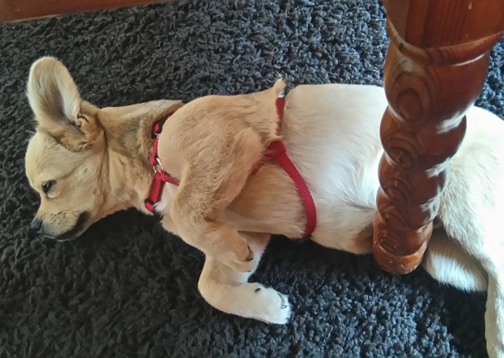 happy_14860614382016 740.JPG