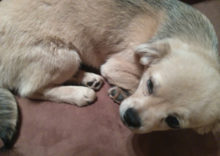 happy_14860614382016 876.JPG