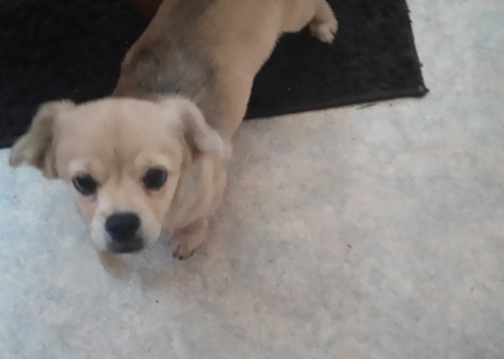 happy_14860614382016 723.JPG