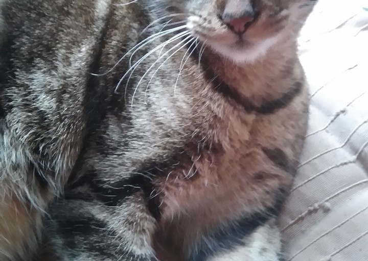 happy_14860614382016 797.JPG