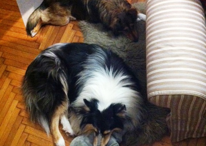 happy_1484770937Foto 1.JPG