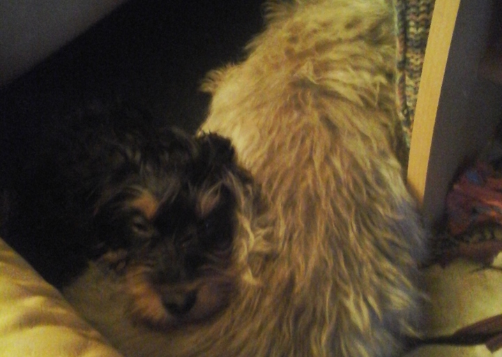 happy_14842540882017-01-09 19.03.27.jpg