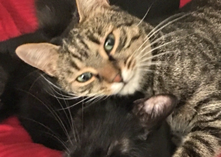 happy_14839772552016-12-18 20_59_19.png