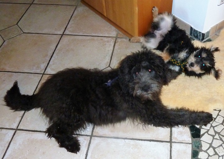 happy_1482170206P1020164 - Kopie.JPG