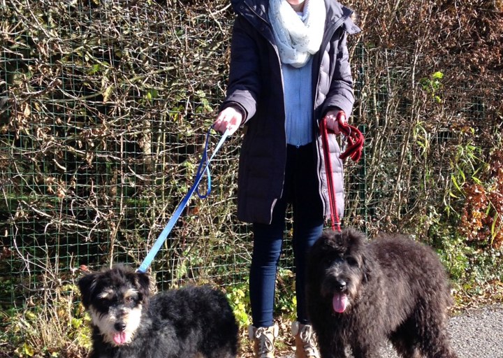 happy_1479662775Foto 1.JPG