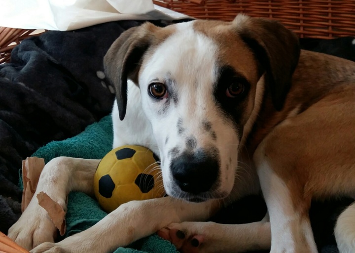 happy_147612953420161006_140845_resized.jpg (1)