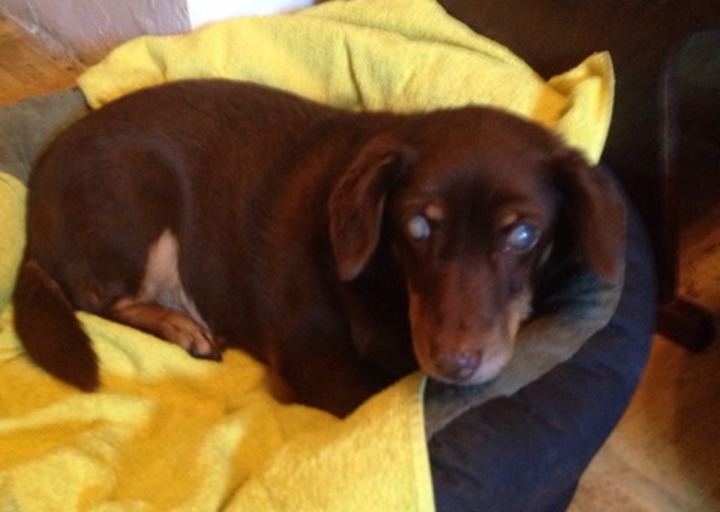 happy_1472755756Anhang 1.jpeg