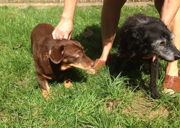 happy_1472755757Anhang 2.jpeg