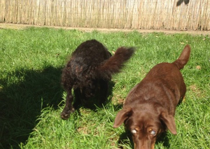 happy_1472755757Anhang 3.jpeg