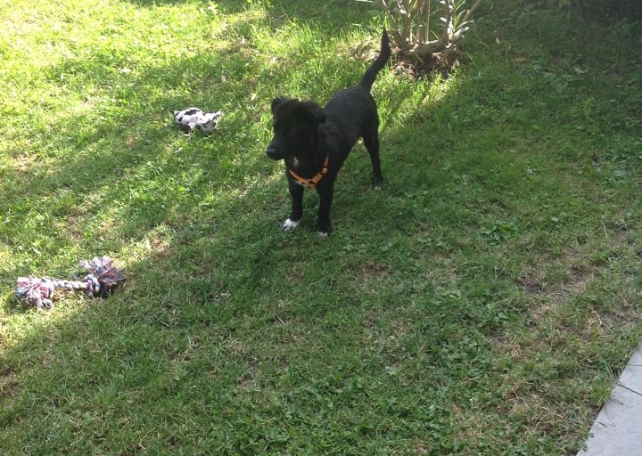 happy_1468186224image (1).jpeg