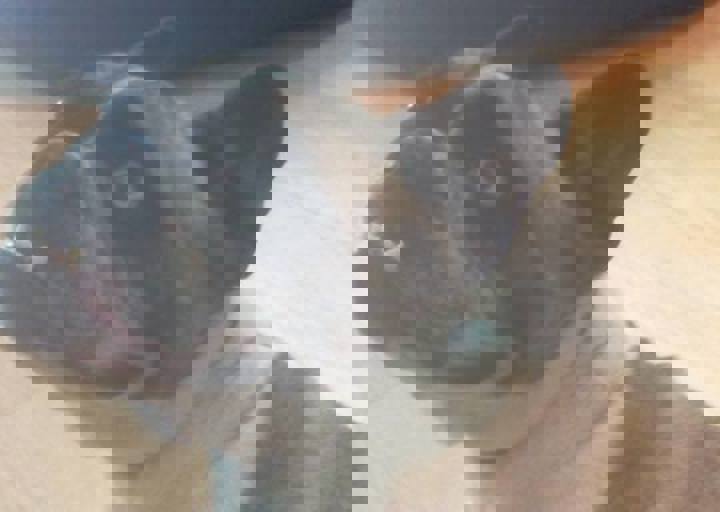 happy_1462476118denise first day.jpg