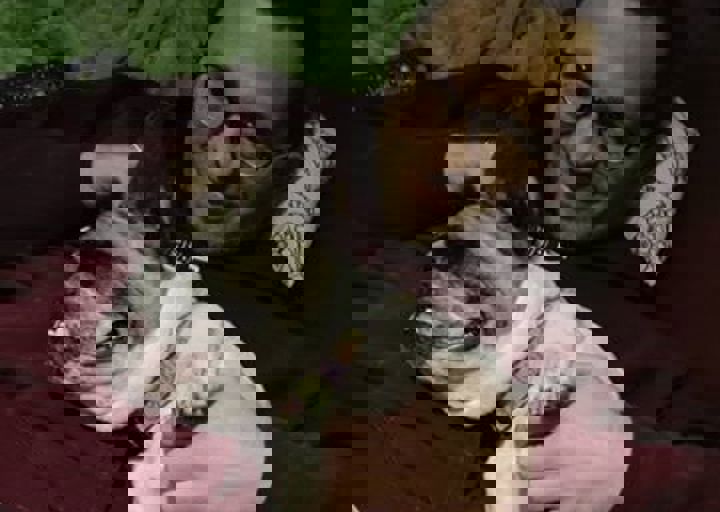 happy_1462476118guenter and denise 2.jpg