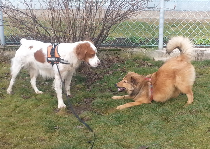 happy_1453057655Kenzo (2).jpg