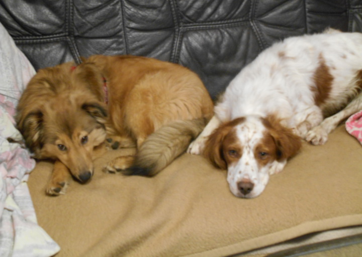 happy_1453057655Kenzo (3).jpg