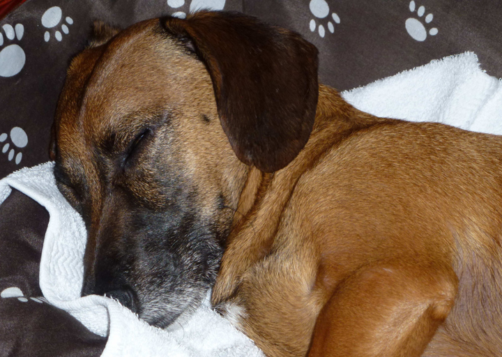 happy_14533202082015_Fotos Manuel-11.jpg