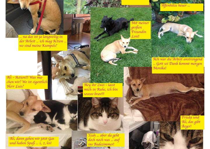 happy_1446898849Frieda Welt.jpg