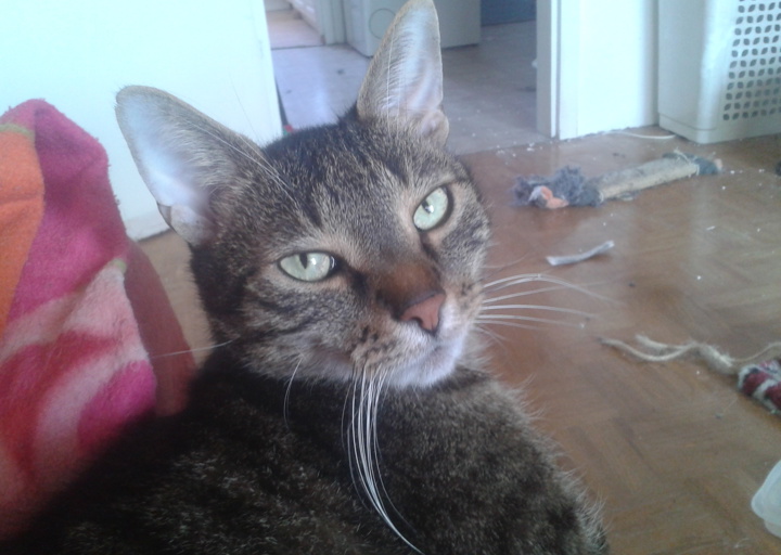 happy_14470176412015-05-12 08.05.57.jpg