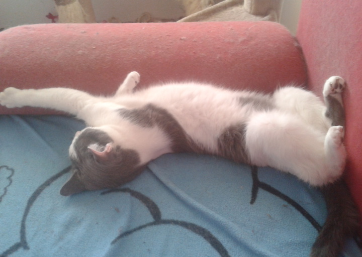 happy_14470176412015-05-12 08.15.51.jpg