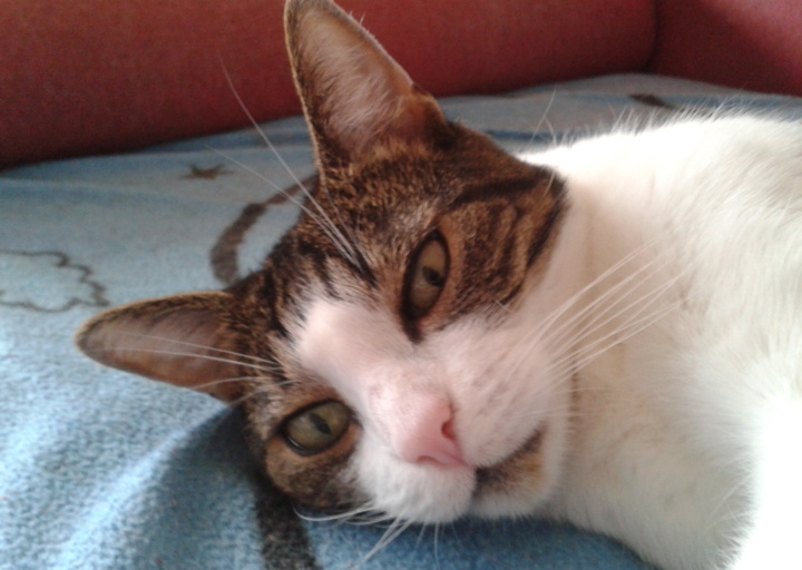 happy_14470176412015-05-14 10.46.27.jpg