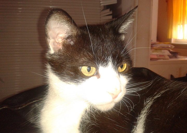 happy_14470176412015-10-04 11.46.38.jpg