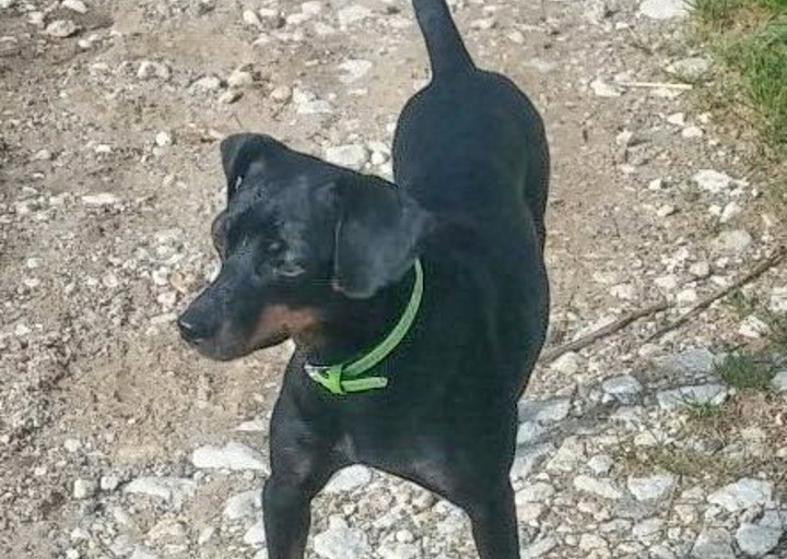 happy_1450614908Foto_1 (2).jpg