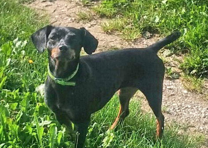 happy_1450614908Foto_4 (1).jpg