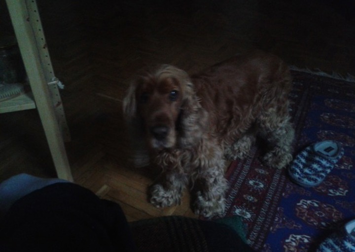 happy_14386064922015-04-28 17.31.13.jpeg