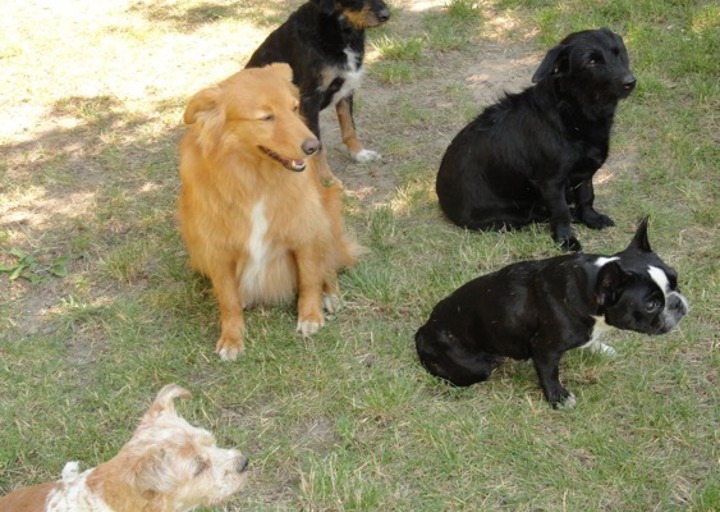 happy_1438606382emma m3.jpeg