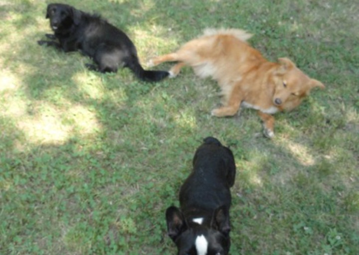 happy_1438606382emma m5JPG.jpeg