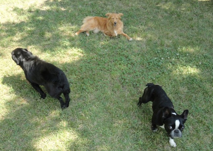 happy_1438606382emma m6.jpeg