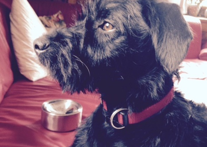 happy_1434656801Foto 1.JPG