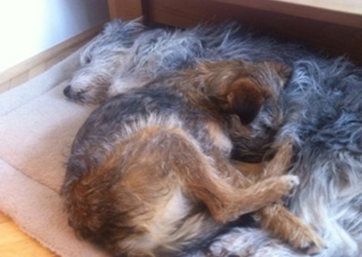 happy_1434657986Anhang 4.jpeg