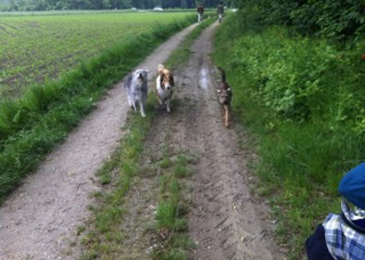 happy_1434657986Anhang 12.jpeg