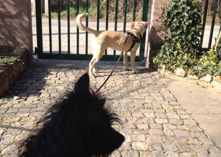 happy_143145603612.3 098.jpeg