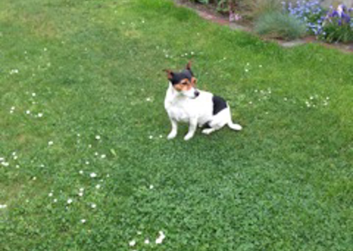 happy_1431115868spielen wir.jpeg