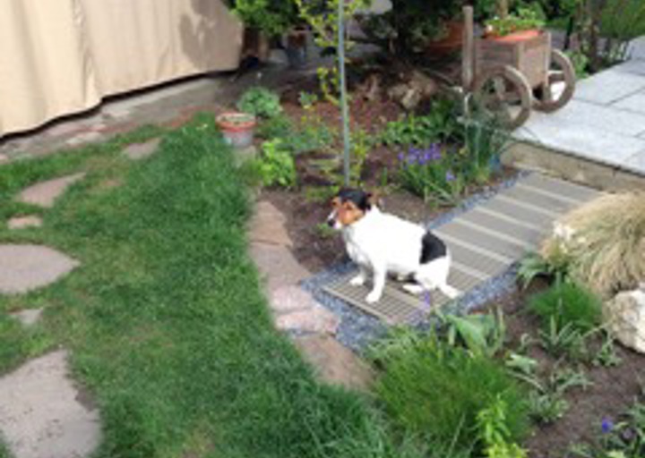 happy_1431115868was machen wir jetzt.jpeg