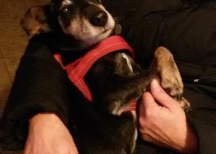 happy_1427486452Handy 049.jpeg