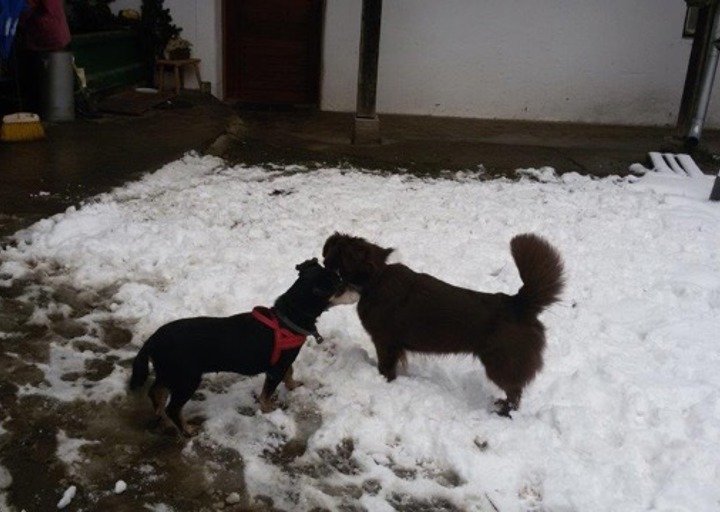 happy_1427486452Handy 035.jpeg