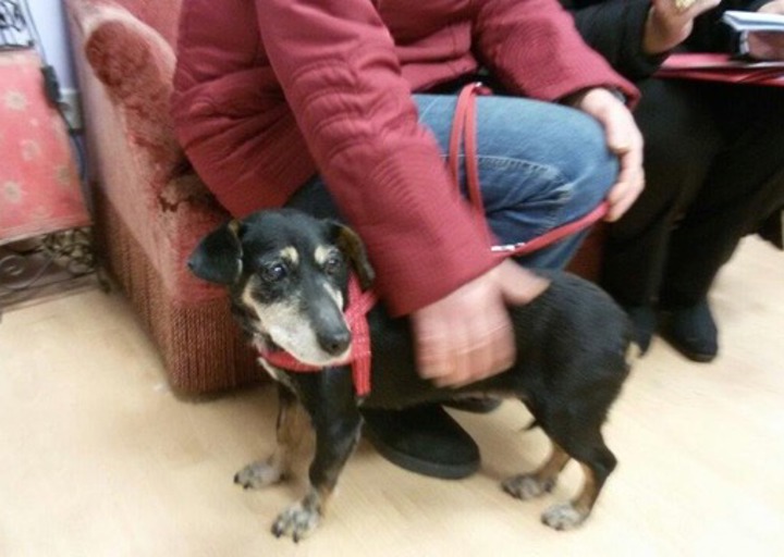 happy_1427486452Handy 031.jpeg