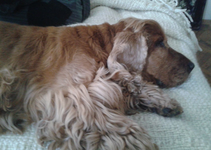 happy_14253286852015-01-28 11.45.36.jpg