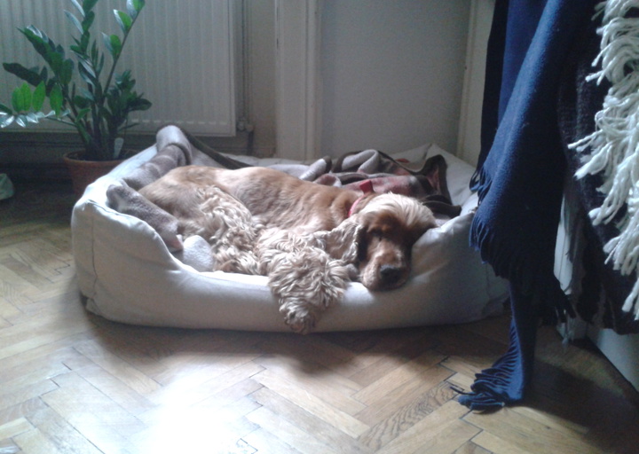 happy_14253286852015-01-21 10.20.44.jpg